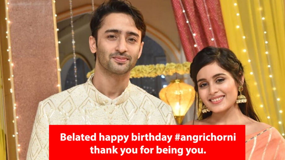 "Thank you for being you": Shaheer Sheikh’s warm birthday wish for co star Rhea Sharma