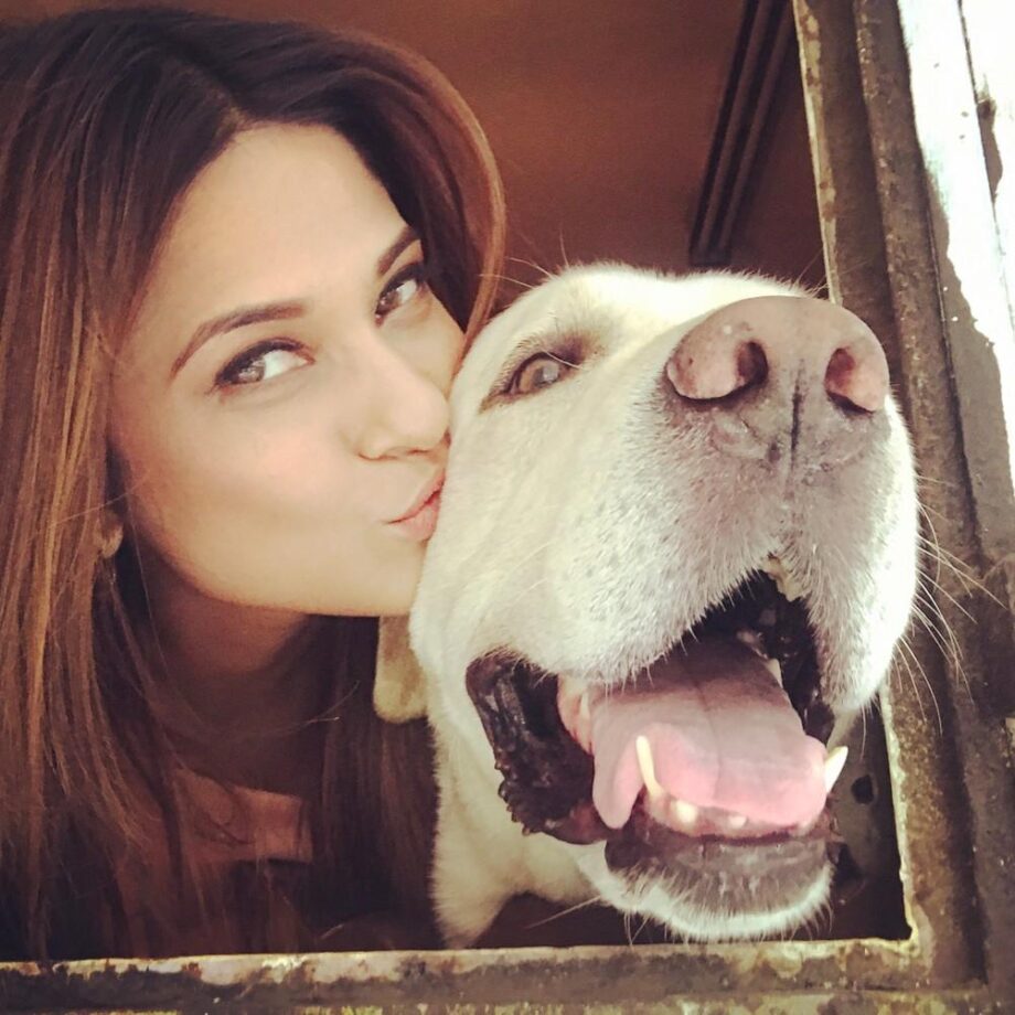 These Instagram Pictures Proved Jennifer Winget Is An Avid Dog Lover - 0