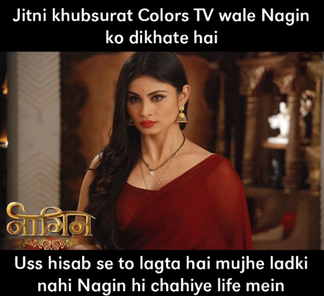 Top 5 Memes On Naagin Show That You Can't Forget In Your Life 2