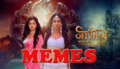 Top 5 Memes On Naagin Show That You Can’t Forget In Your Life
