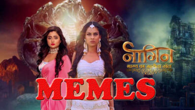 Top 5 Memes On Naagin Show That You Can’t Forget In Your Life