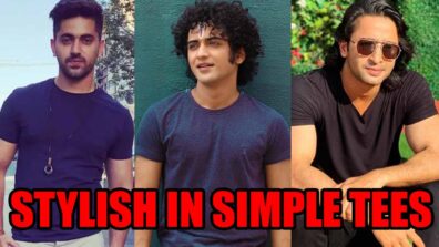 Want Stylish Look In Simple Tees? Take Inspiration From Zain Imam, Sumedh Mudgalkar And Shaheer Sheikh