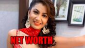 What’s The Net Worth Of Sriti Jha? Know Here Everything About Lifestyle