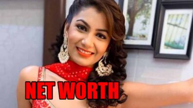 What’s The Net Worth Of Sriti Jha? Know Here Everything About Lifestyle