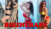 Hai Garmi!!! Shama Sikander’s Insanely Hot Pics Break The Internet: See Pics