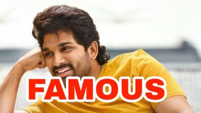 Why is Allu Arjun so famous?