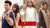 Aladdin – Naam Toh Suna Hoga: Salaries Of Siddharth Nigam, Ashi Singh And Others Will SHOCK You