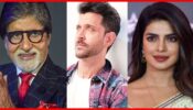 Amitabh Bachchan, Hrithik Roshan, Priyanka Chopra: Bollywood Celebs Who Own A Private Jet