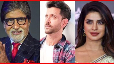 Amitabh Bachchan, Hrithik Roshan, Priyanka Chopra: Bollywood Celebs Who Own A Private Jet