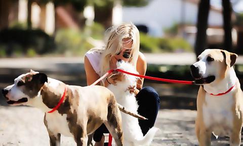 The story of Kaley Cuoco, their adorable pets - 3