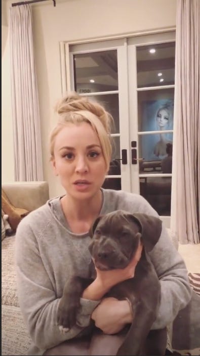 The story of Kaley Cuoco, their adorable pets - 4