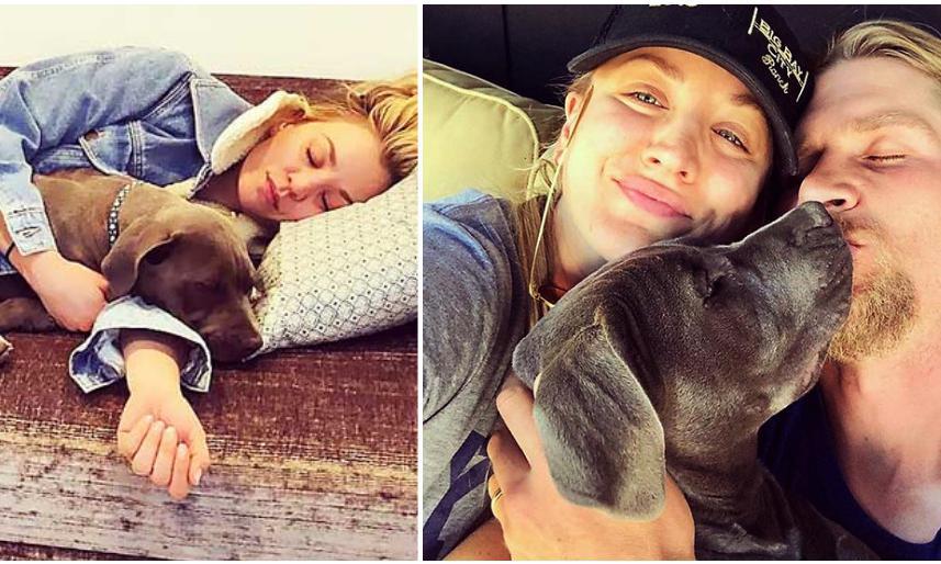 The story of Kaley Cuoco, their adorable pets - 1