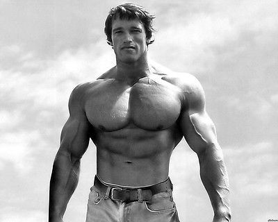 Arnold Schwarzenegger’s Perfectly Ripped Body Is Mesmerizing - 1