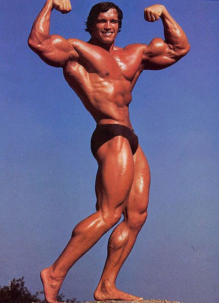 Arnold Schwarzenegger’s Perfectly Ripped Body Is Mesmerizing - 2