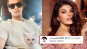 Asim Riaz shares hot picture, Jacqueline Fernandez comments ‘oh my god! so cute’