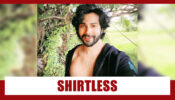 Beard and bare chest: Have you seen Varun Dhawan’s latest picture yet?