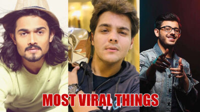 Bhuvan Bam, Ashish Chanchlani And CarryMinati’s Most VIRAL Things