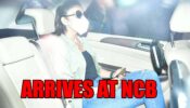 Bollywood Drug Row: Rakul Preet Singh arrives at NCB guest house