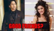 Can Shaheer Sheikh and Shivangi Joshi Be Good Friends?