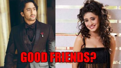 Can Shaheer Sheikh and Shivangi Joshi Be Good Friends?