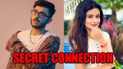 CarryMinati and Avneet Kaur’s secret connection