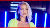 Hair Colors To Copy From Dua Lipa