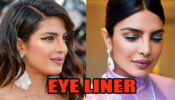 Have You Checked Priyanka Chopra’s Different Styles To Match Eyeliner With Outfits?