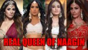 Hina Khan VS Nia Sharma VS Surbhi Jyoti VS Surbhi Chandna: The real queen of Naagin?