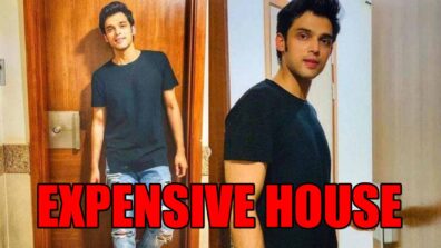 How Expensive Is Parth Samthaan’s New House?