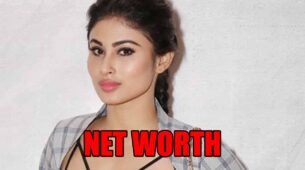 How Rich Is Mouni Roy?