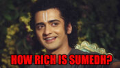 How Rich Is RadhaKrishn lead Sumedh Mudgalkar?