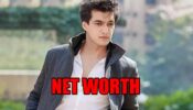 How Rich Is Yeh Rishta Kya Kehlata Hai Lead Actor Mohsin Khan?