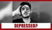 Is Youtube King CarryMinati depressed?