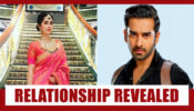 Ishq Mein Marjawan Spoiler Alert: Kabir and Anupriya’s relationship REVEALED