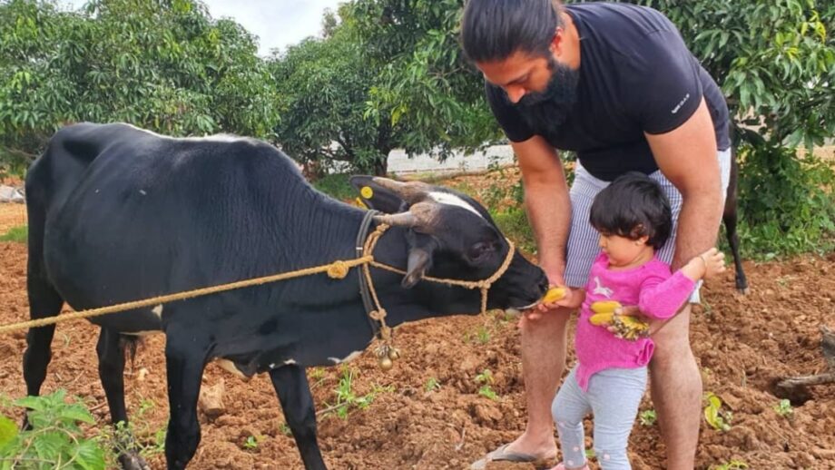 K. G. F. star Yash' wife Radhika Pandit shares a capture from their time at their farmhouse