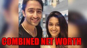 Kuch Rang Pyar Ke Aise Bhi Lead Shaheer Sheikh And Erica Fernandes’s COMBINED Net Worth Will Surprise You, Check Details!