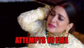 Kundali Bhagya spoiler alert: Kidnapped Preeta attempts to flee