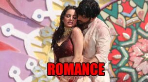 Kundali Bhagya spoiler alert: Preeta and Karan share a romantic moment