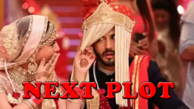 Kundali Bhagya’s NEXT Plot Revealed!