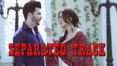 Moments When Karan Separated From Preeta In Kundali Bhagya!