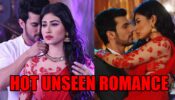 Most HOT Unseen Romantic Scenes Of Ritik and Shivanya From Naagin
