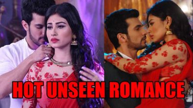 Most HOT Unseen Romantic Scenes Of Ritik and Shivanya From Naagin