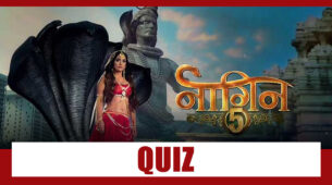 Naagin 5 Quiz For Fans