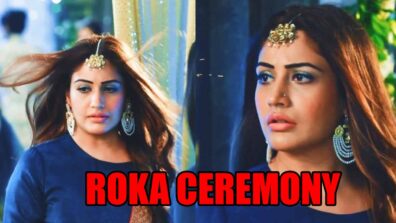 Naagin 5 spoiler alert: Bani’s roka celebration to begin