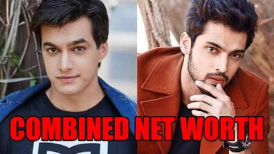 Parth Samthaan, Mohsin Khan stunning combined net worth