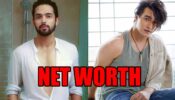 Parth Samthaan or Mohsin Khan: Whose net worth is more?