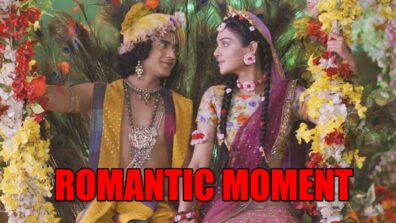 RadhaKrishn spoiler alert: Krishna and Radha share cute romantic moment