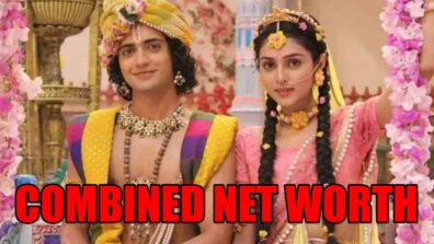 RadhaKrishn: Sumedh Mudgalkar-Mallika Singh combined net worth will shock you