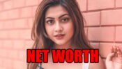 How rich is Reem Shaikh?
