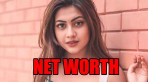 How rich is Reem Shaikh?